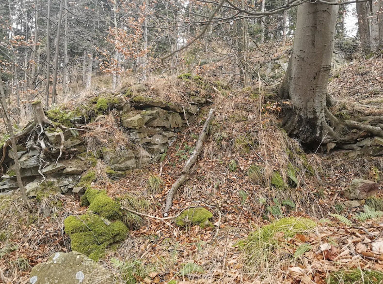 Kružberk Hrad, Czech Republic (Czechia)
